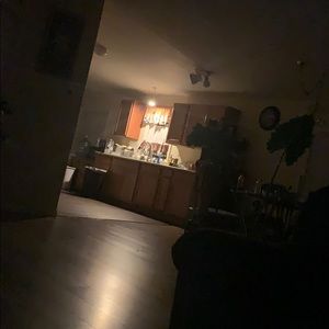 Meet your Posher, Noemi